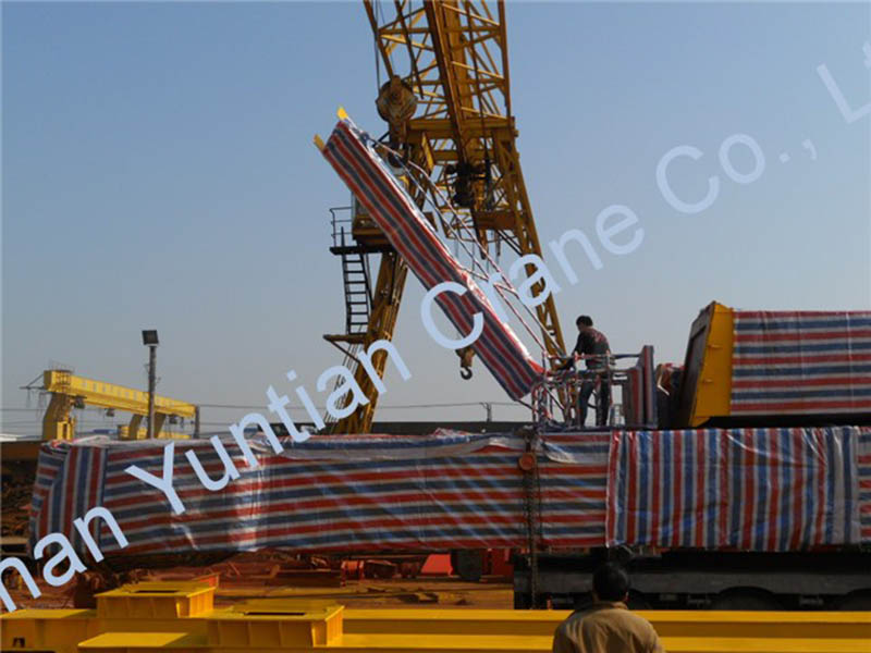 20t Double girder gantry crane delivery to Pakistan