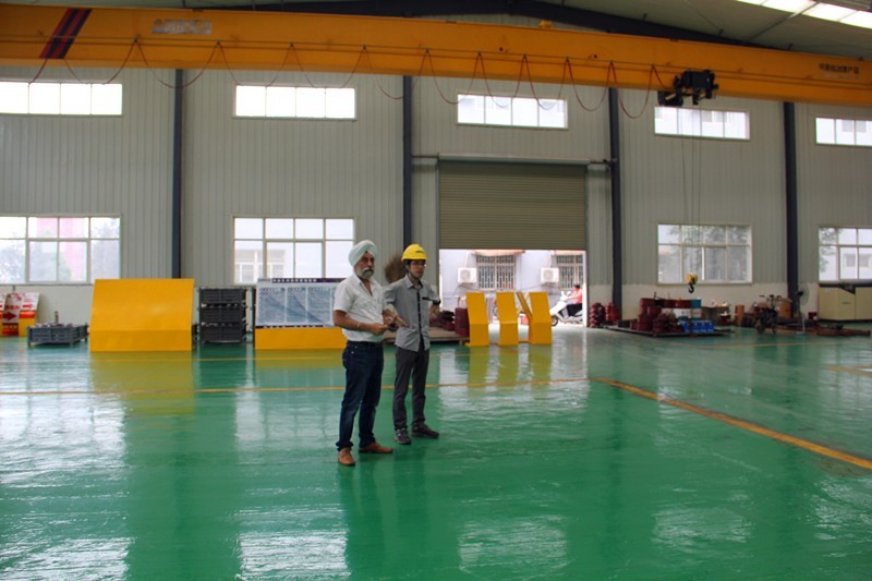 India customer,single girder,overhead cranes